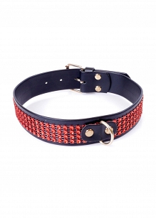 Fetish B - Series Collar with crystals 3 cm Red Line